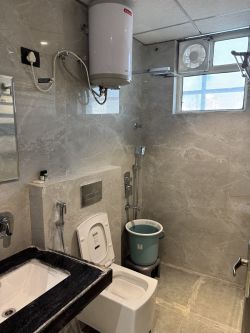 Google Image 3